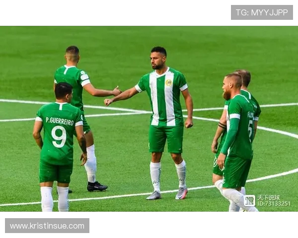 瑞典两大前锋本赛季表现未达预期球队攻击力受影响分析 瑞典两大前锋本赛季表现未达预期球队攻击力受影响分析